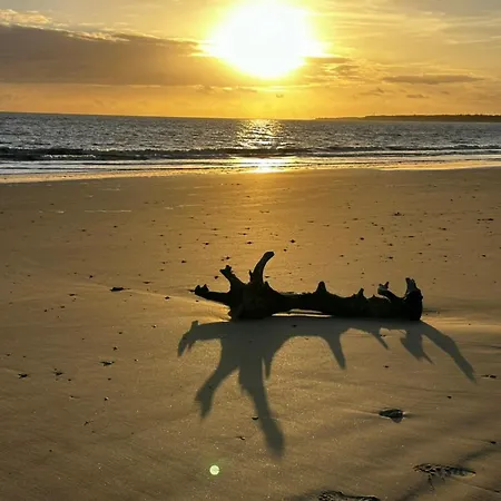 Apartman Rdc A 50m De La Avec Terrasse - - Fr-1-22-309