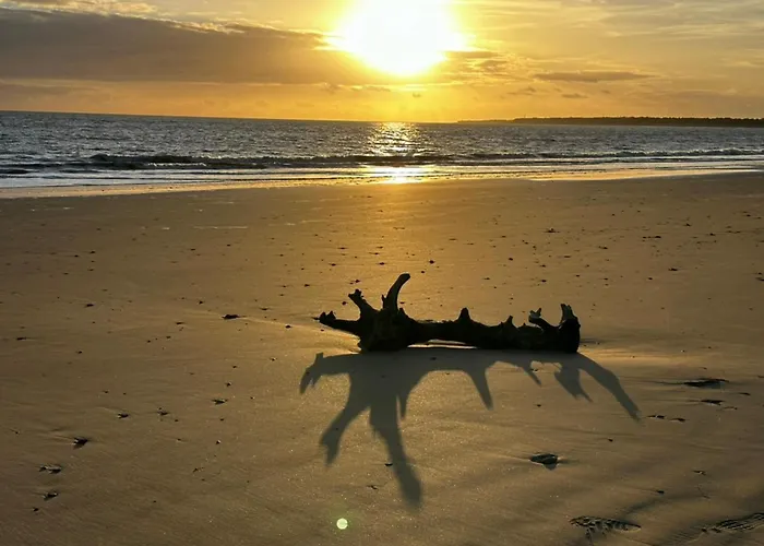 Apartman Rdc A 50m De La Avec Terrasse - - Fr-1-22-309